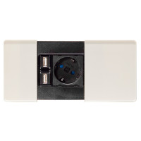 Врізний модуль ASA VersaPad 1x220 2xUSB білий (060.08F.00001)