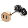 Мебельная USB розетка  ASA VersaPick золото (060.29Z.00008)